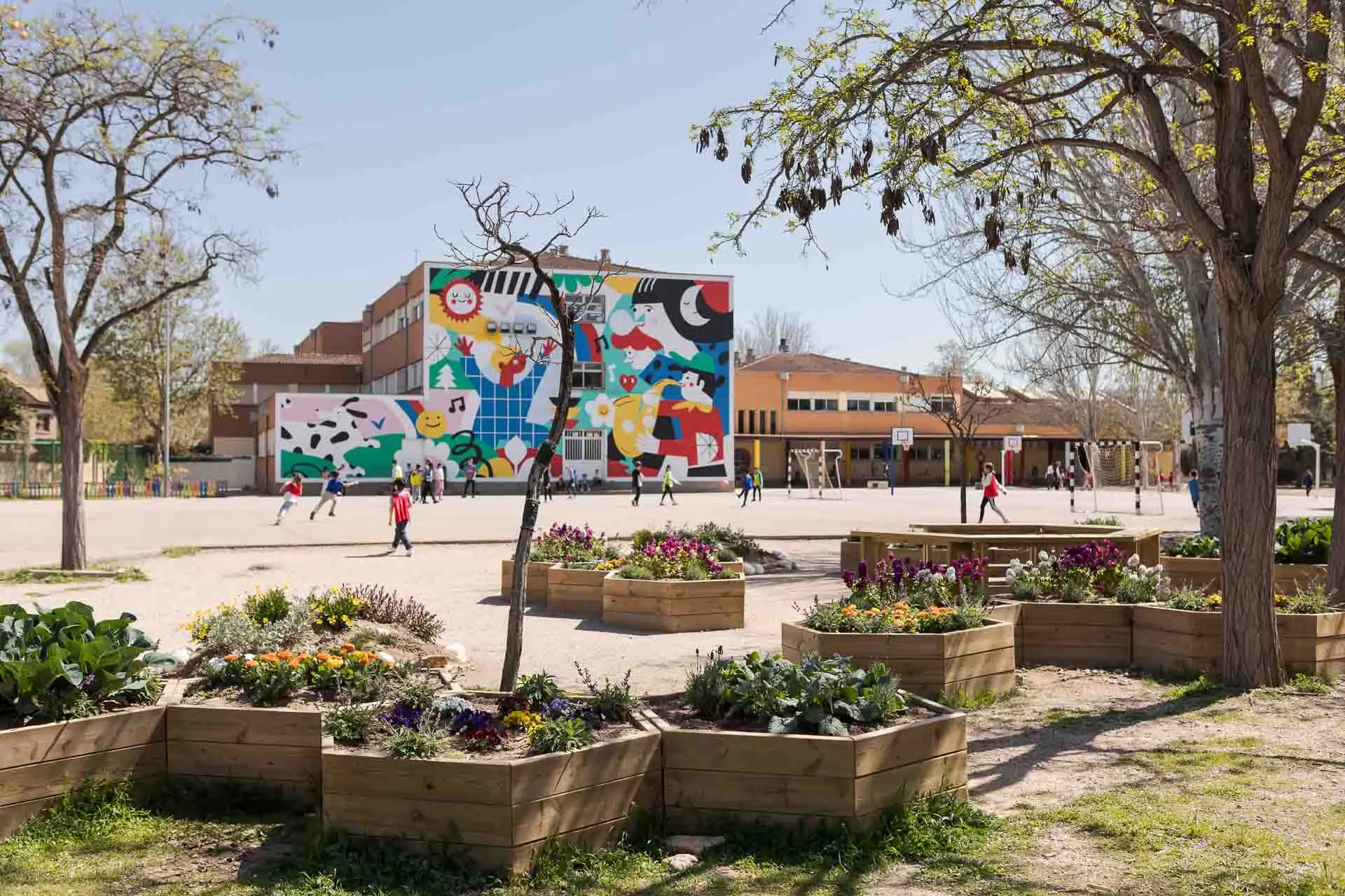 Renaturalización del patio CEIP Hispanidad