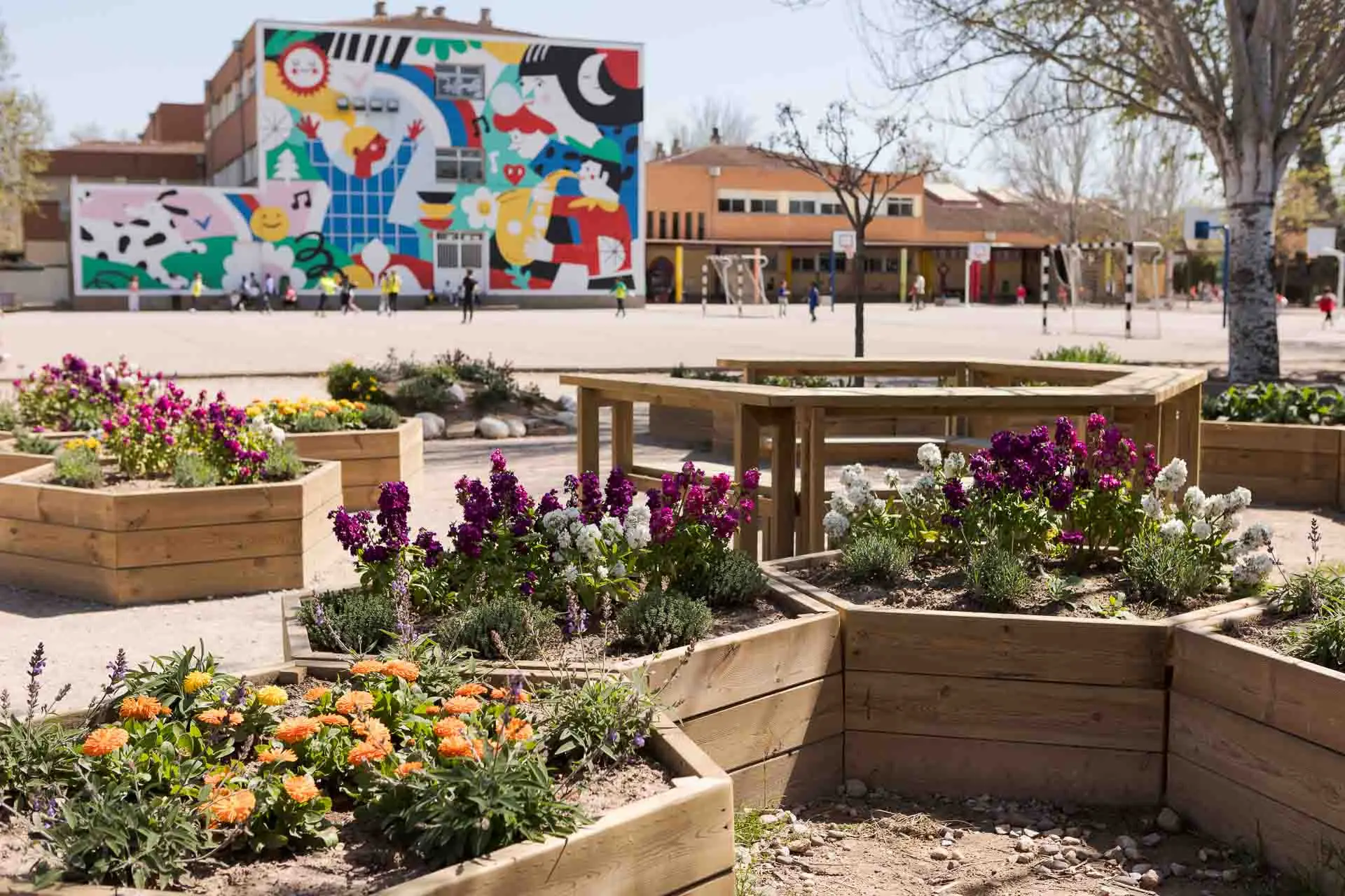 Renaturalización del patio CEIP Hispanidad