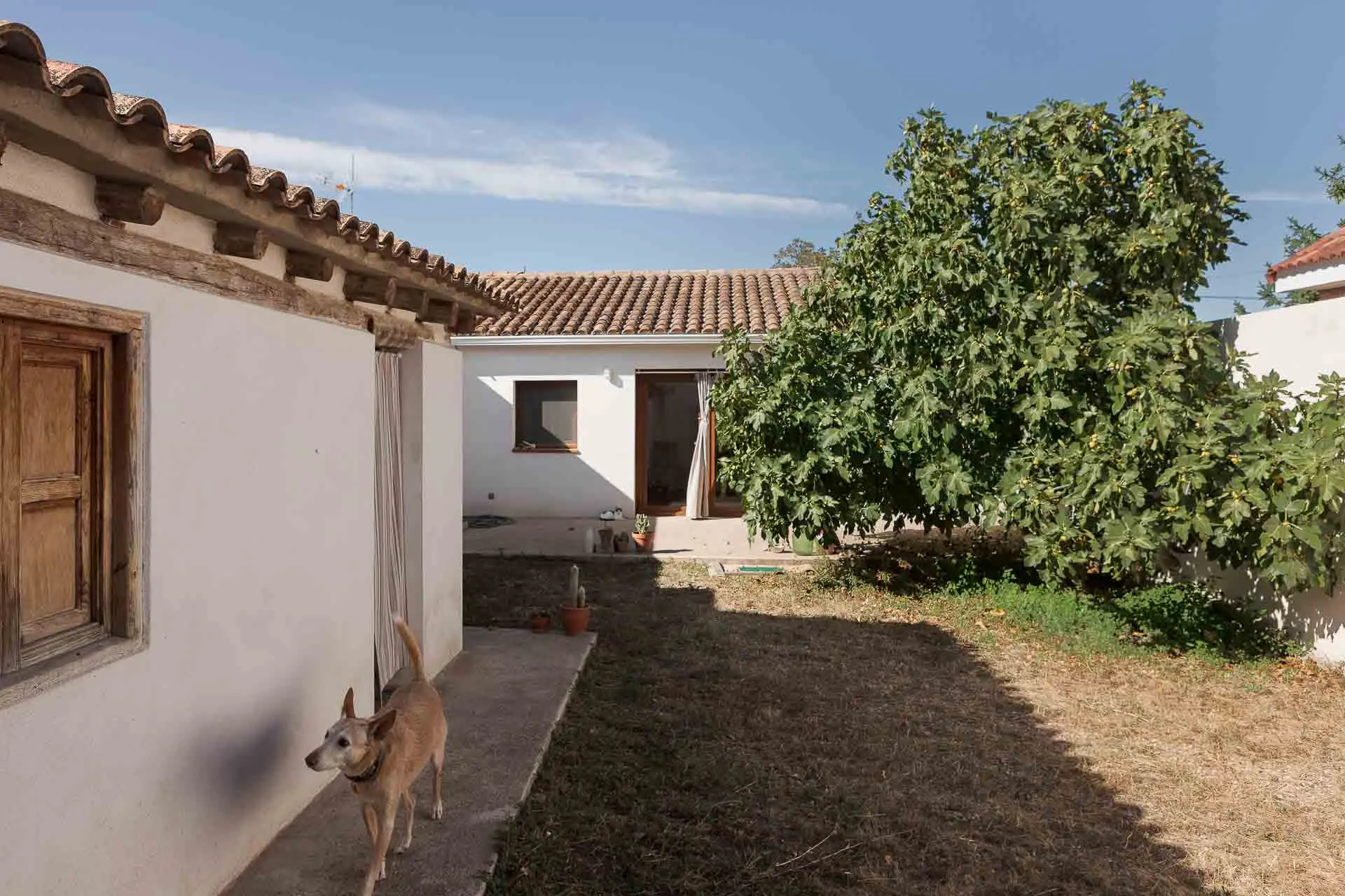Proyecto de rehabilitación. Cambio de uso de almacén a vivienda.