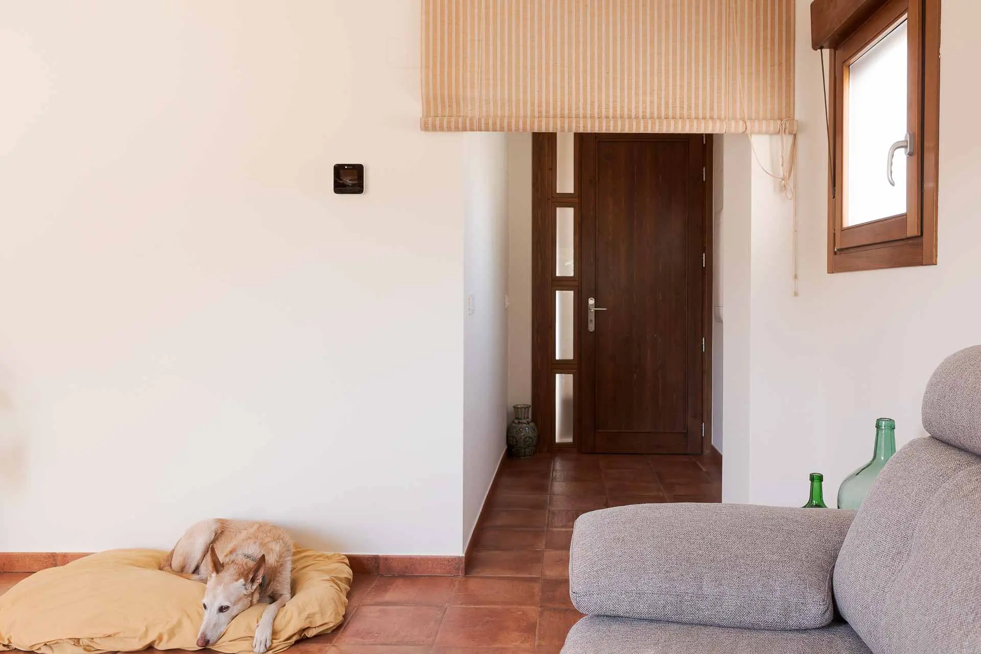 Proyecto de rehabilitación. Cambio de uso de almacén a vivienda.